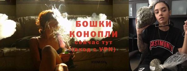 амф Магас