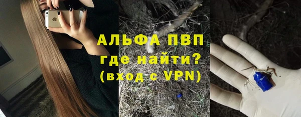 амф Магас