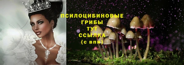 амф Магас